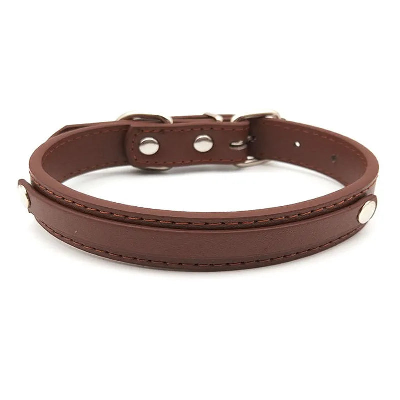 🖤 DaddyChic™ Choker Collar by AfterGlow